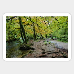 Autumn Golitha falls walk Sticker